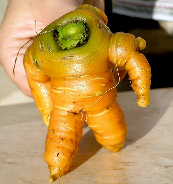 Photo for funny images vegetables