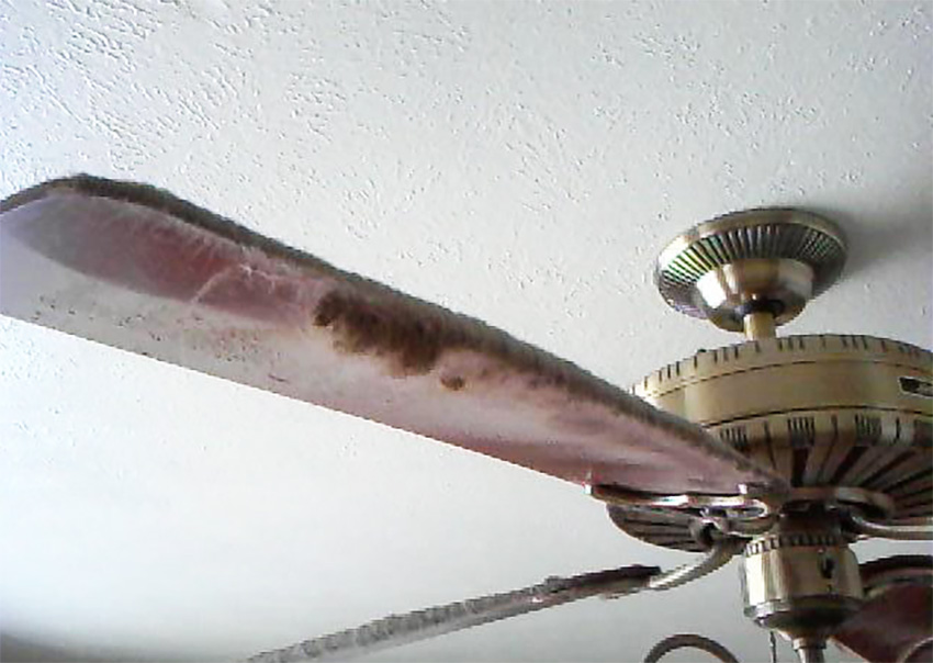 Hidden Safety Concerns Of A Ceiling Fan Things You Need To Know