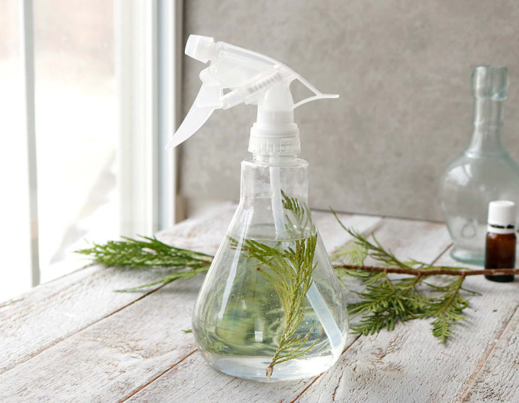 Natural-DIY-All-Purpose-Pine-Spray-with-Zero-Toxins744.jpg