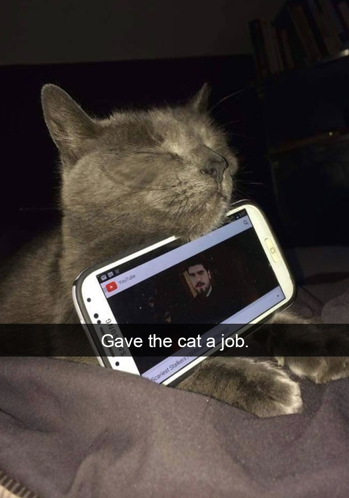 24 Hilarious Cat Snapchats That Will Make Your Day Instantly Better