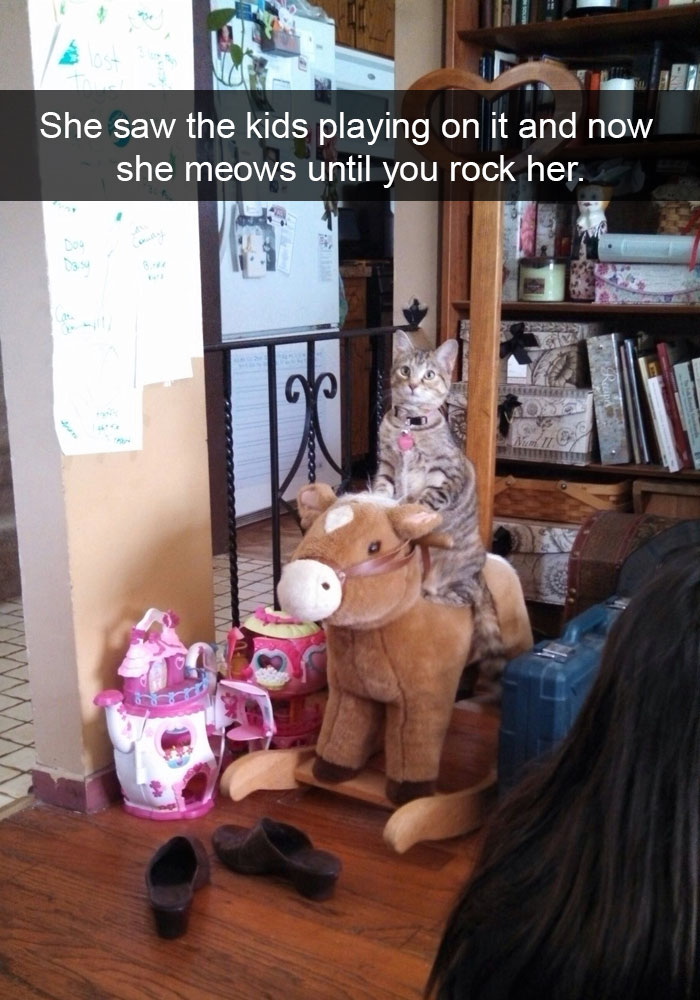 24 Hilarious Cat Snapchats That Will Make Your Day Instantly Better