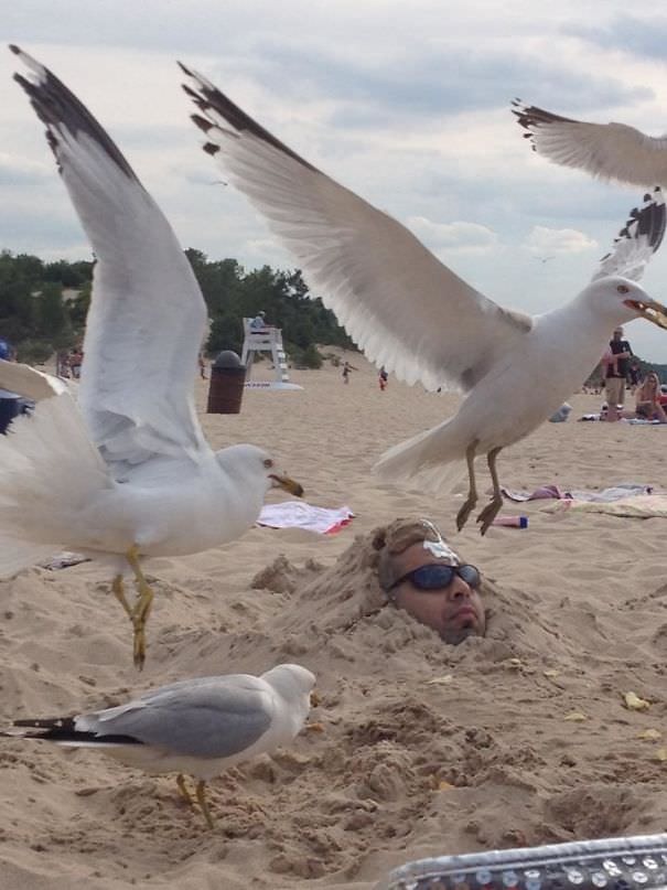  Buried A Friend In The Sand And Throw Potato Chips Around His Head - Then Came The Seagulls