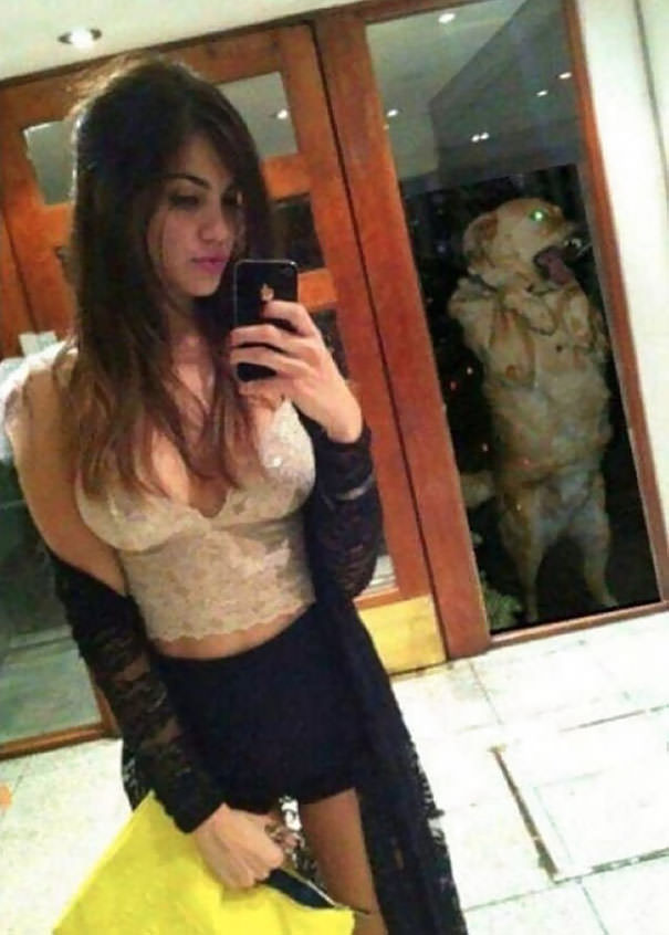  Even This Dog Is Sick Of Her Selfies