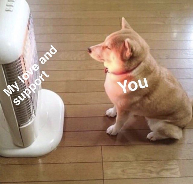 Dog sitting in front of space heater.