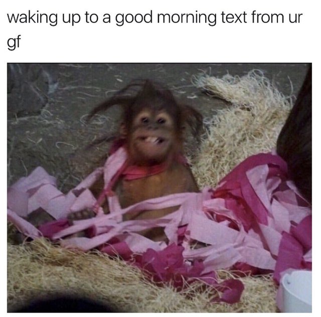 Baby orangutan with messy hair grinning. Caption: waking up to a good morning text from your gf