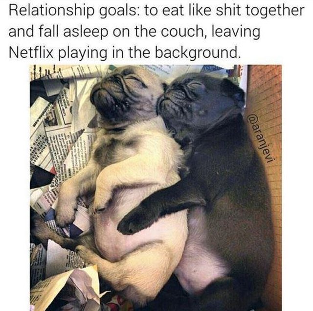 Two sleeping pug puppies cuddle. Caption: Relationship goals: to eat like shit together and fall asleep on the couch, leaving Netflix playing in the background.