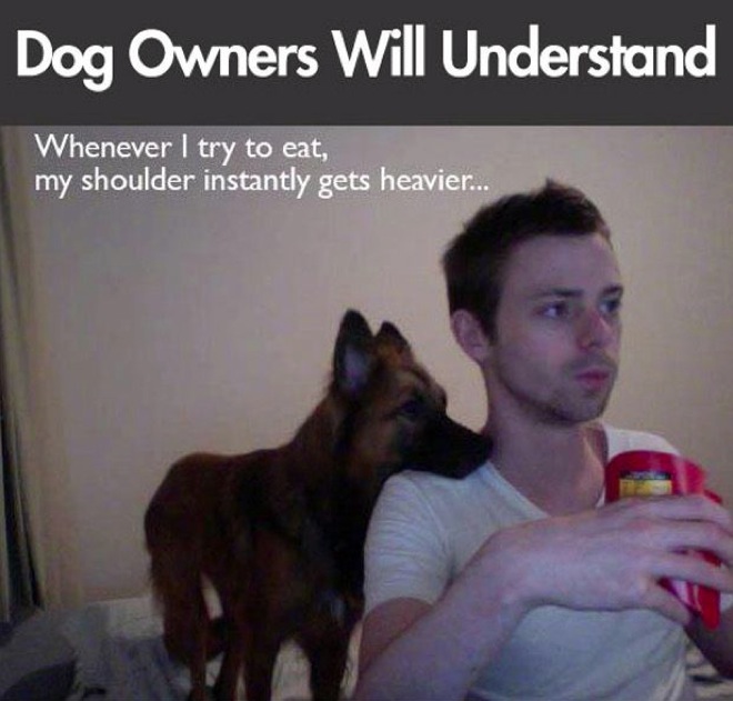 hilarious-dog-owners-situations-1