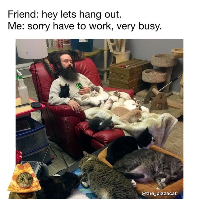 Man in recliner covered with sleeping cats. Friend: hey lets hang out. Me: sorry have to work, very busy.