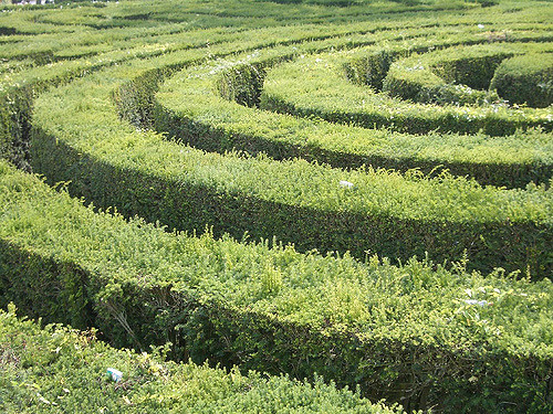 maze