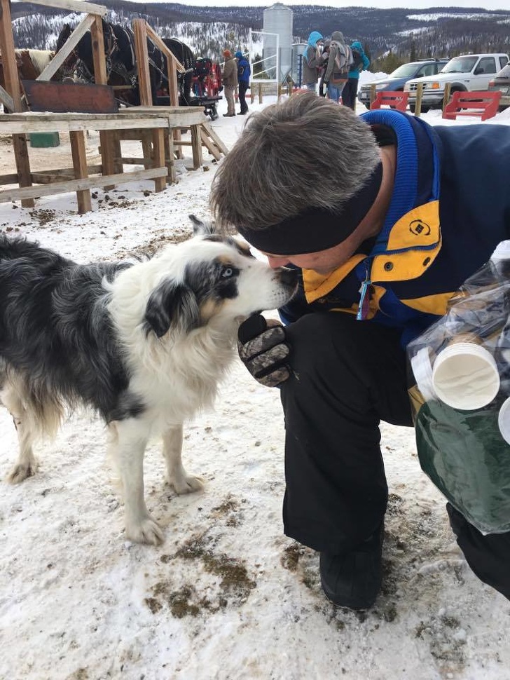 10 Cosas que no les gustan a los perros pero que seguimos haciendo