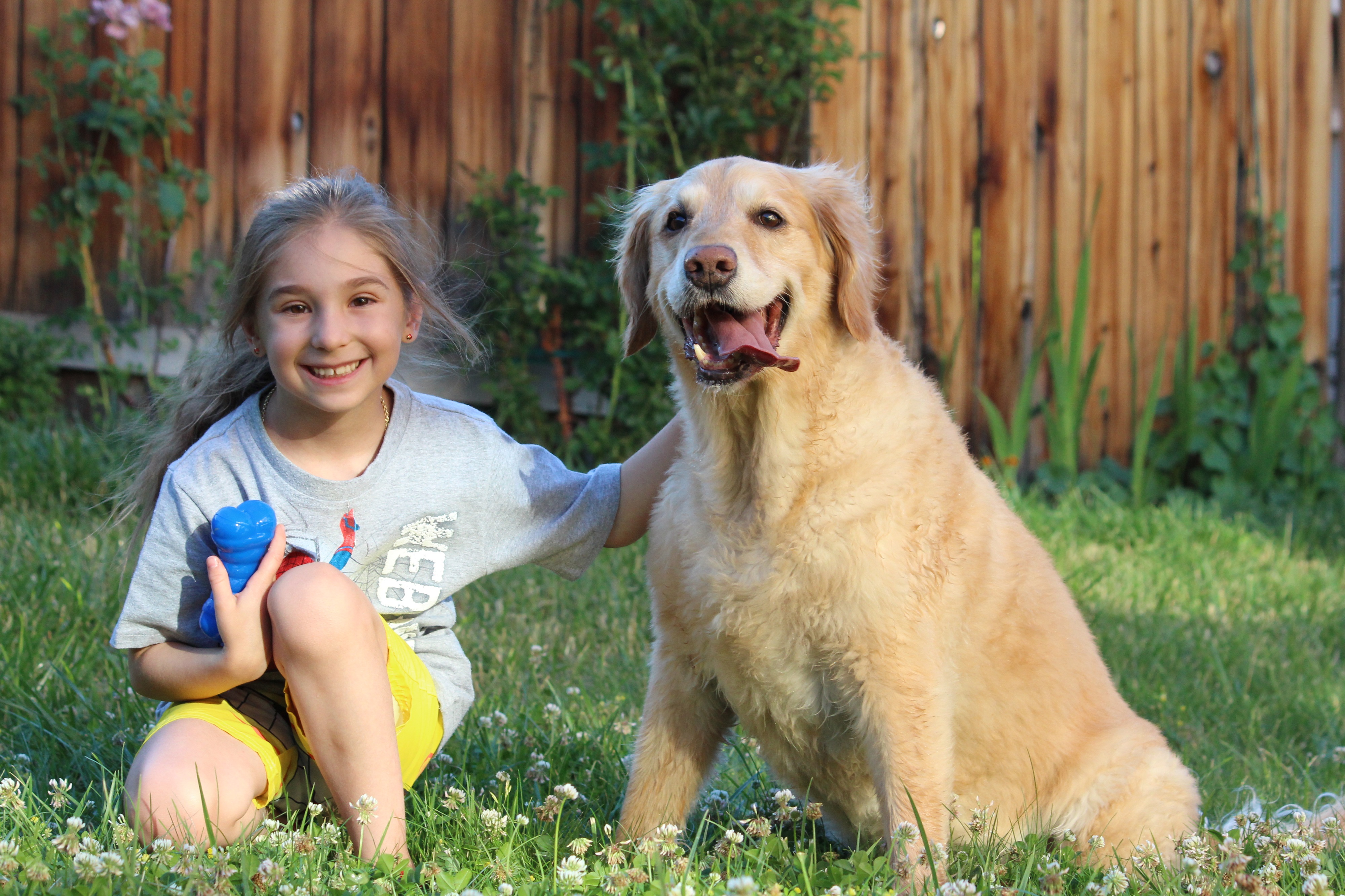 Resultado de imagen de Golden retriever kids