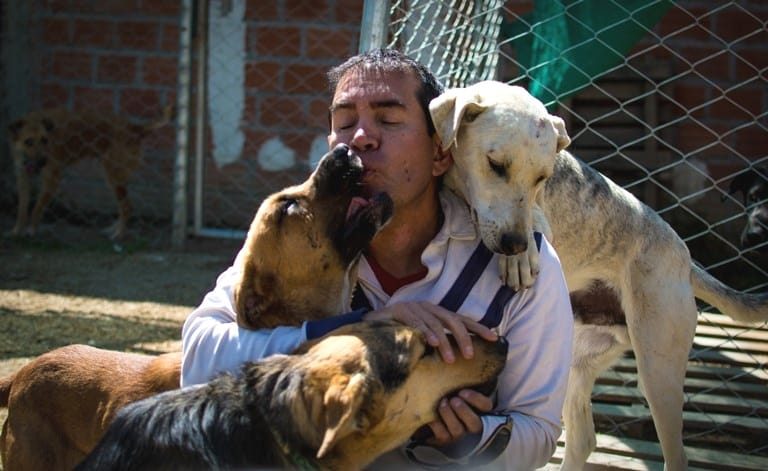 La imagen puede contener: perro y exterior