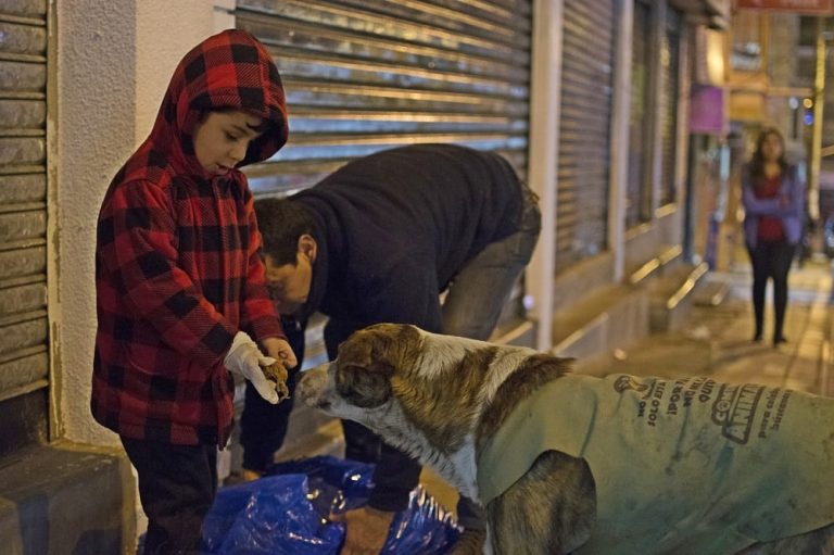 La imagen puede contener: 1 persona, perro