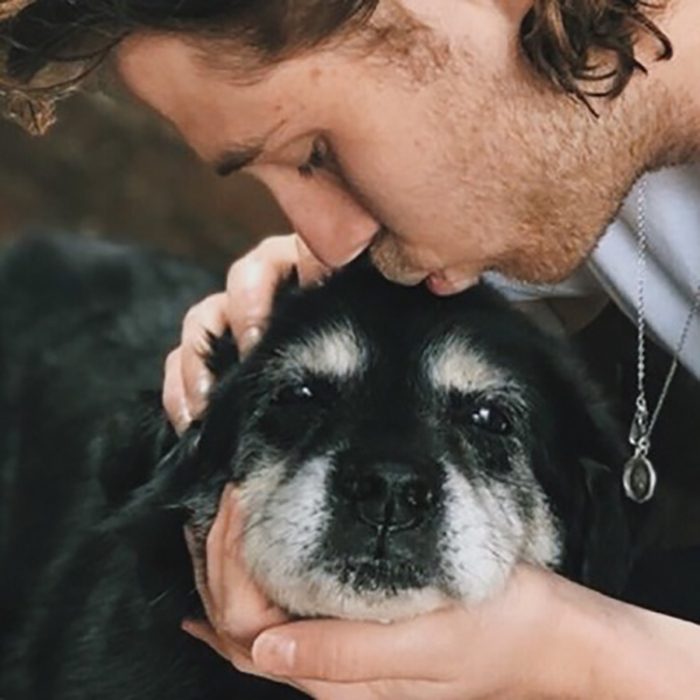 beso a perrito viejito 