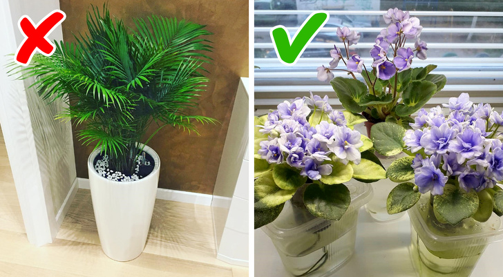 12 Errores comunes que se cometen al decorar departamentos pequeños (Spoiler: olvídate de estampado floral en las paredes)