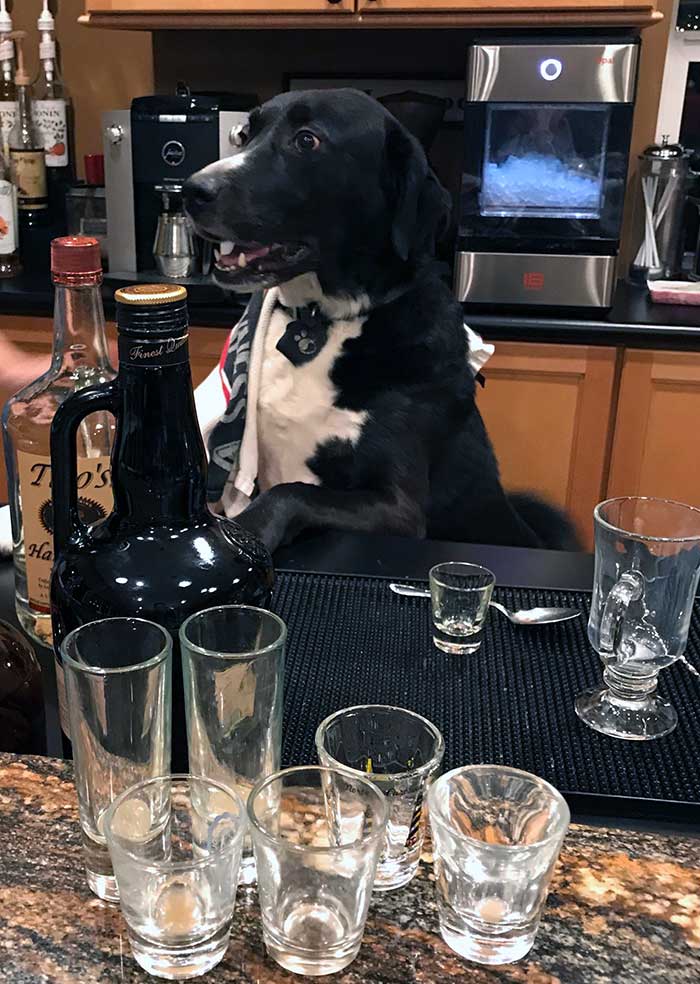 Finn Bartends When He’s Not Helping My Sister With Her Vertigo