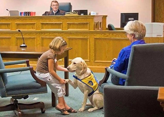 This Best Boy Helping Children Testify