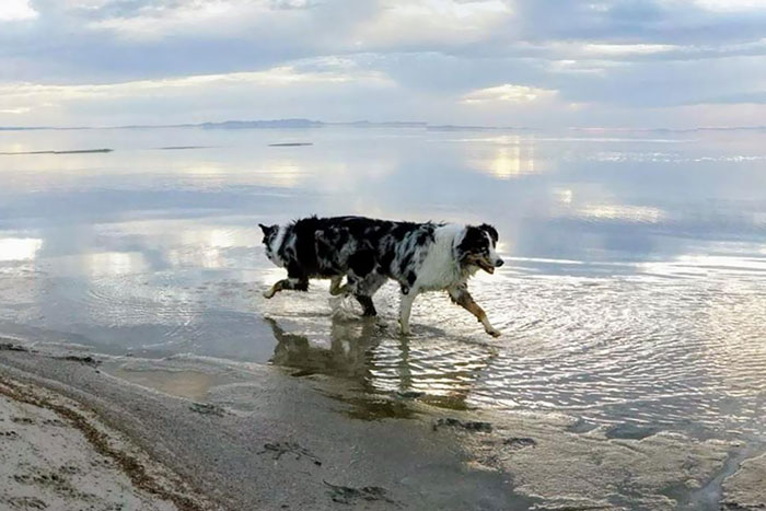 Google Assistant Seemed Oddly Excited About This Panorama That It Created For Me