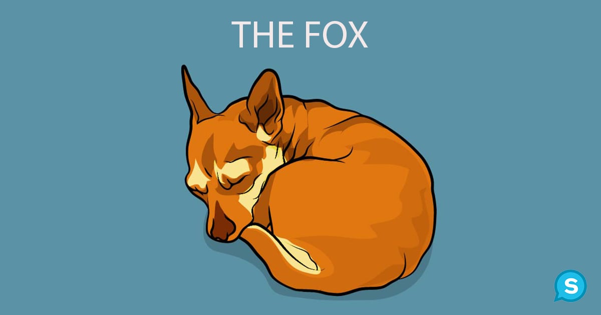 fox