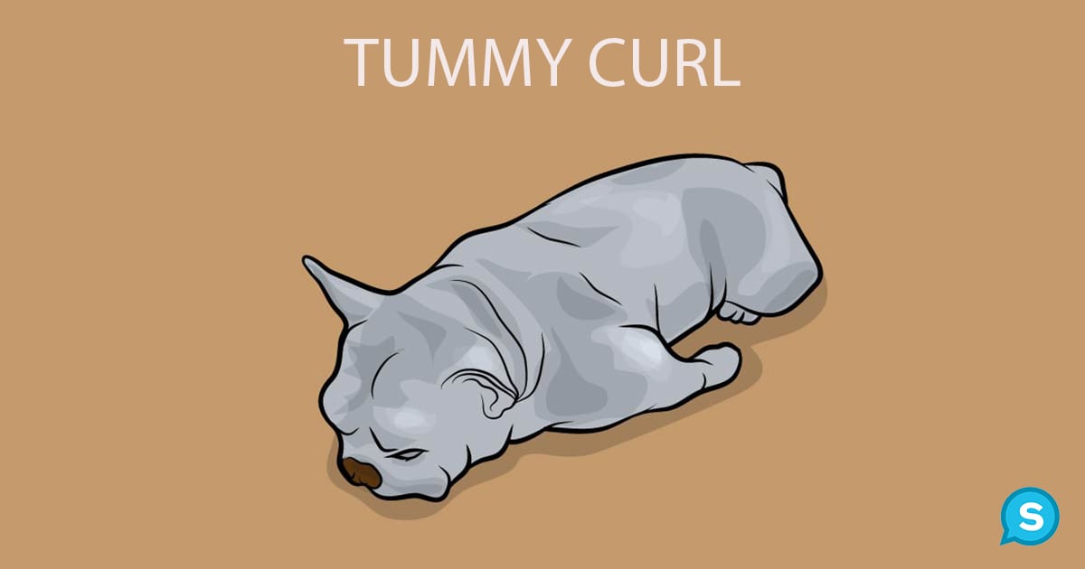 tummy curl