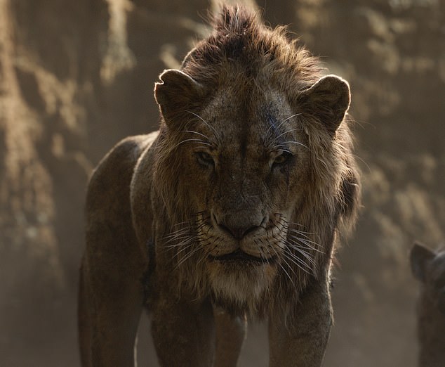 Real-Life Scar: One-Eyed Lion With Battle Scars Becomes ...