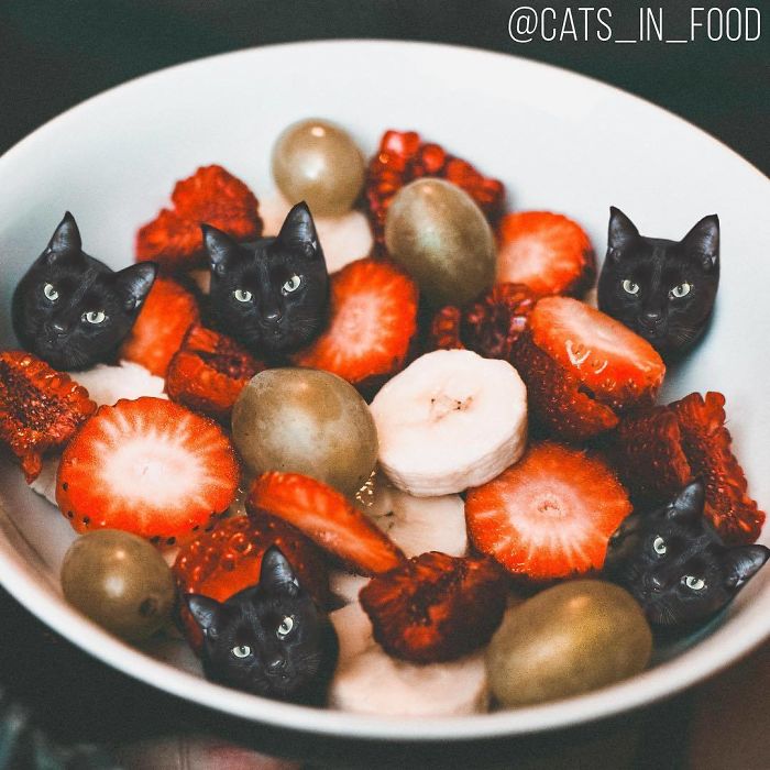 Cats In Food Photoshop