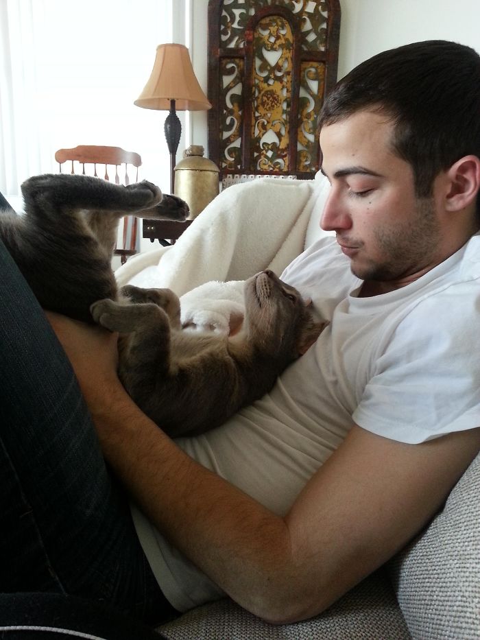 A Seriously Cute Moment Between My Boyfriend And Cat