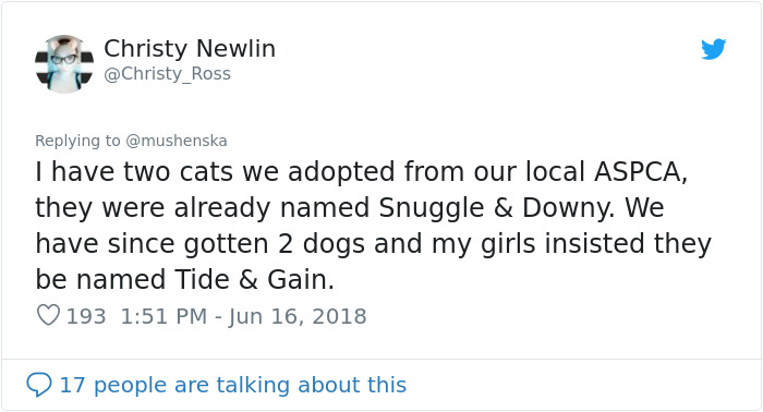 Funny-Pet-Names