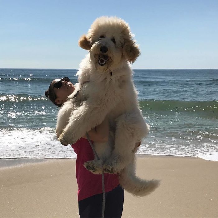 Being My Best Self At The Beach