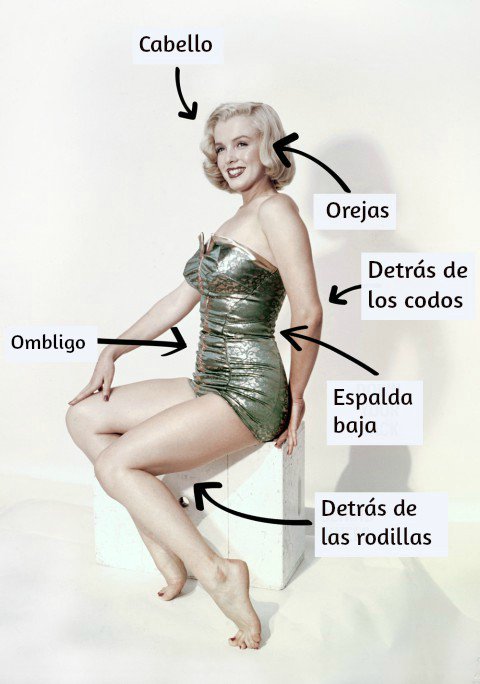 mujer marilyn monroe sentada ilustracion