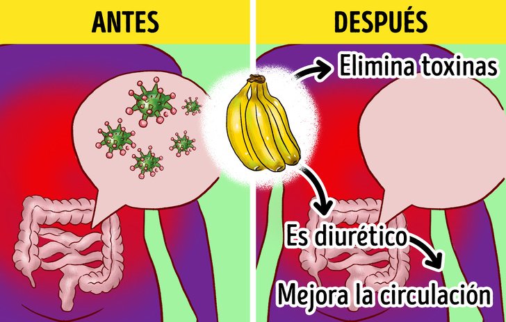 10 Alimentos que puedes incluir en tu dieta para luchar contra la celulitis y algunas recomendaciones para disminuirla