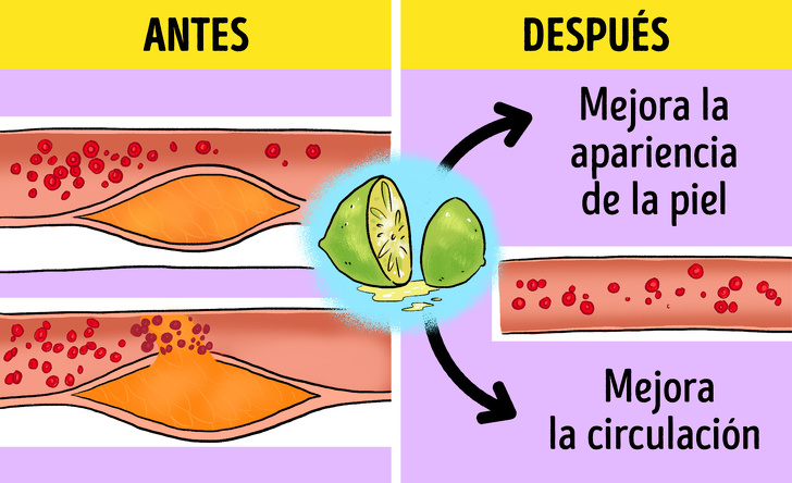 10 Alimentos que puedes incluir en tu dieta para luchar contra la celulitis y algunas recomendaciones para disminuirla