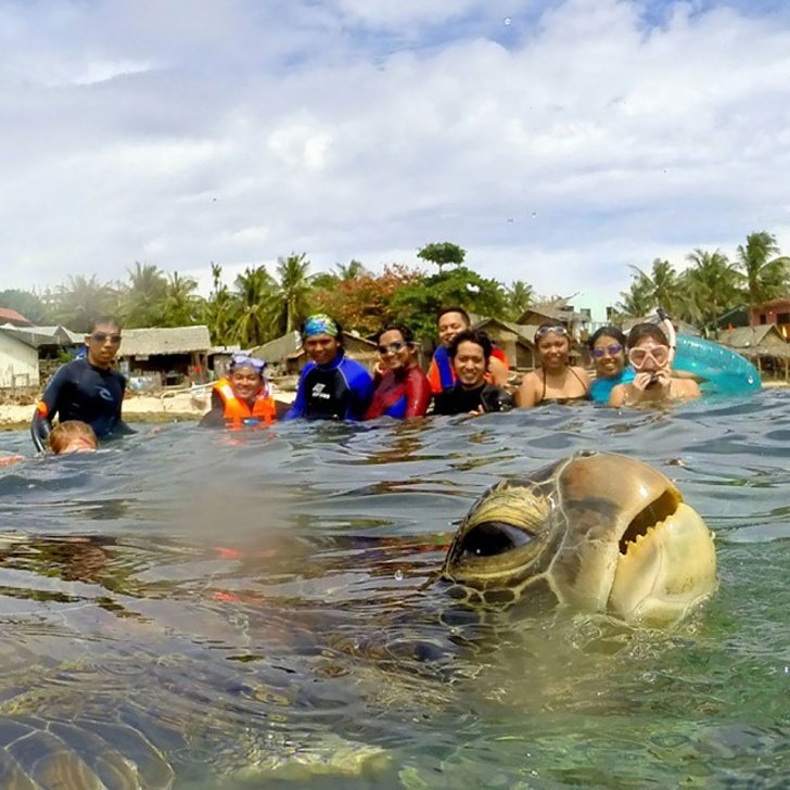 20 “Photobombs” que acabarão com o tédio do seu dia