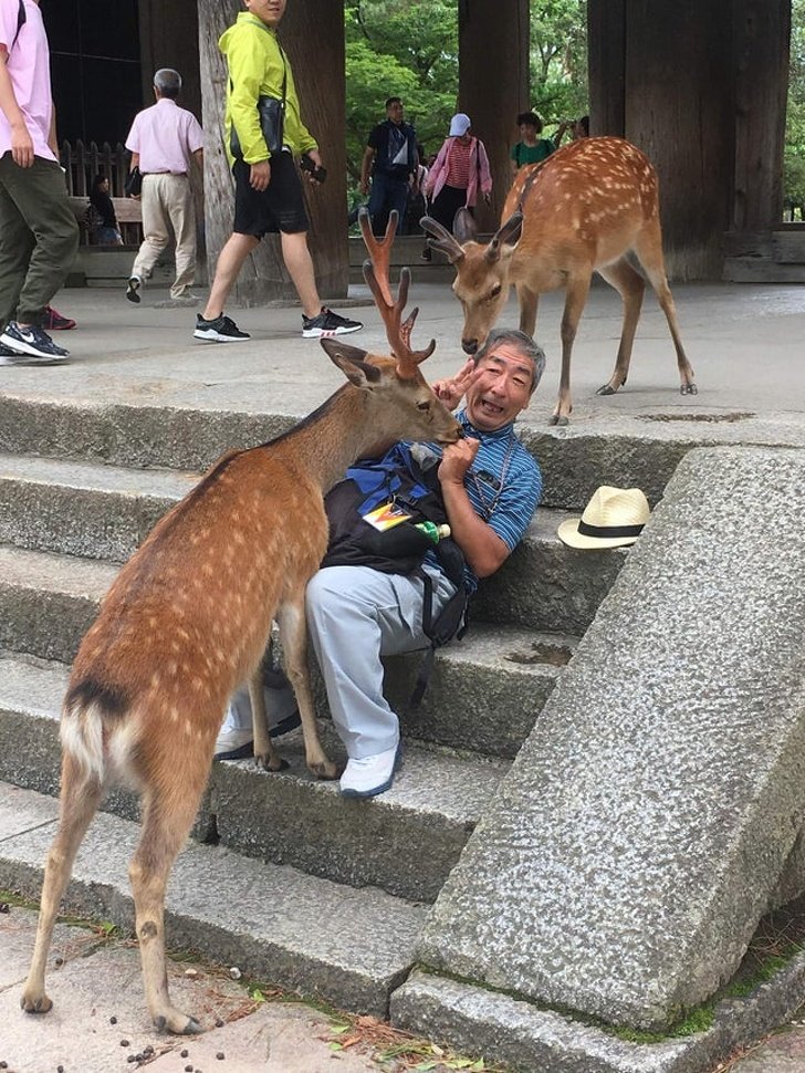 18 Provas de que um estrangeiro nunca poderá entender um japonês