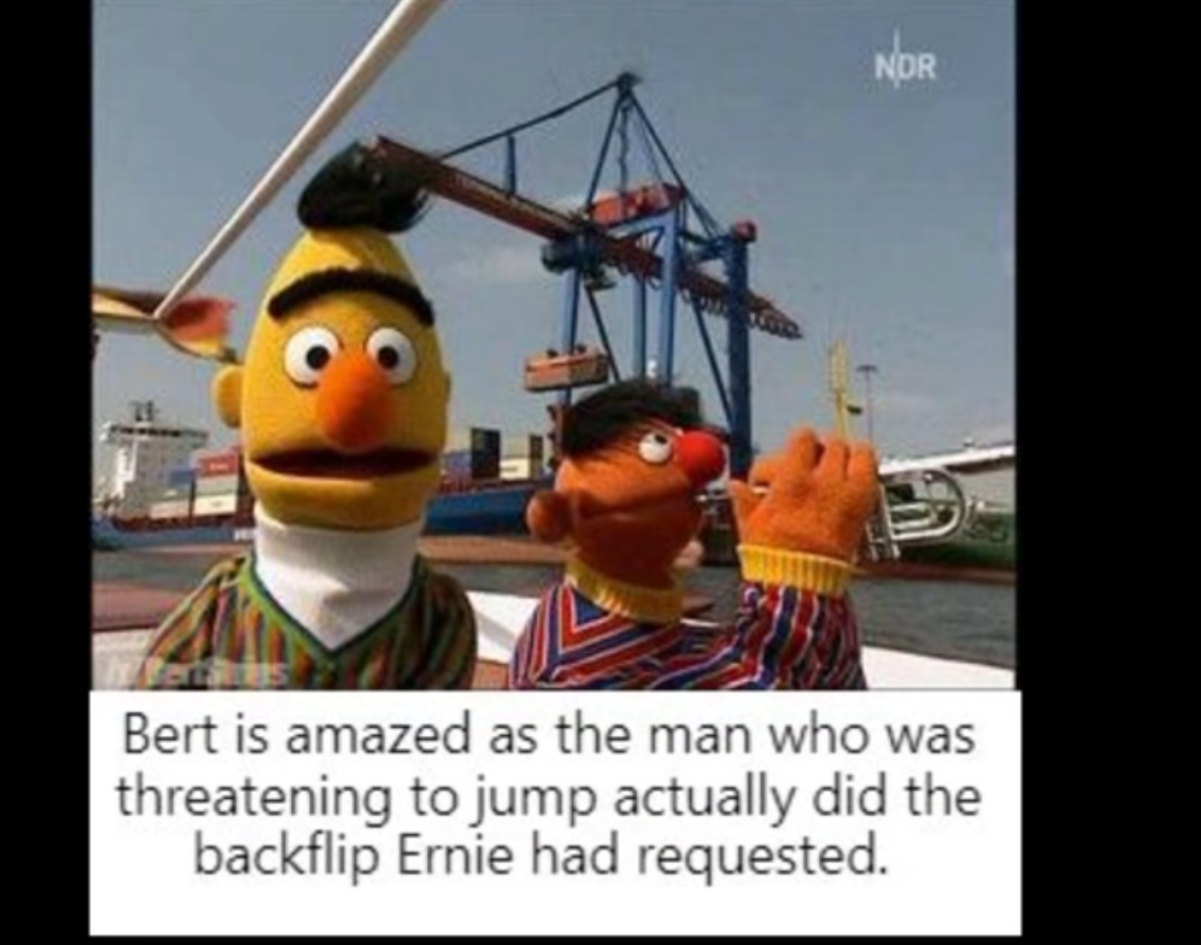 Bert and Ernie memes