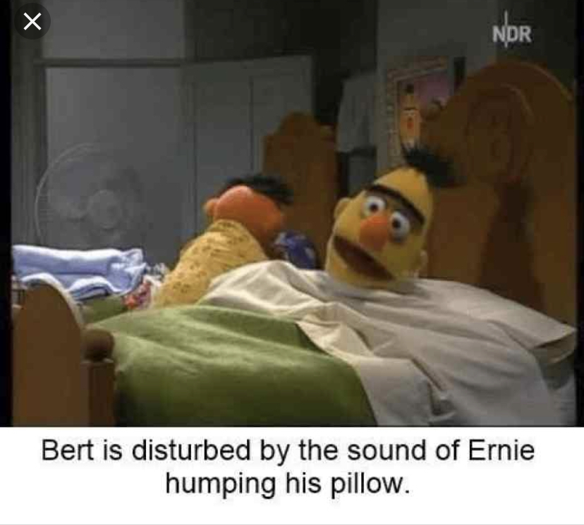 Bert and Ernie memes