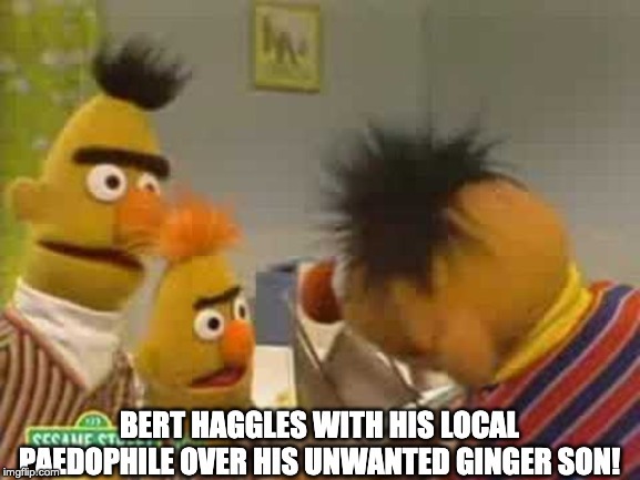 Bert and Ernie memes