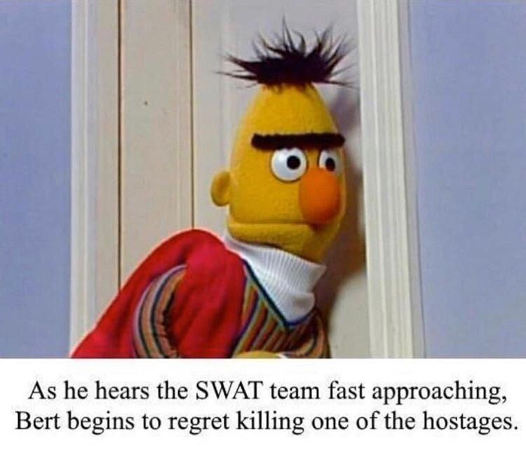 Bert and Ernie memes