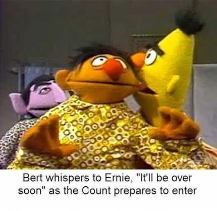 Bert and Ernie memes