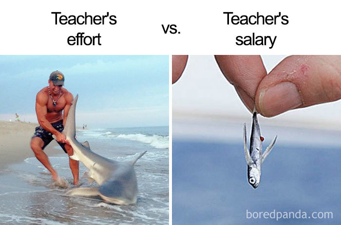 Funny Teacher Memes