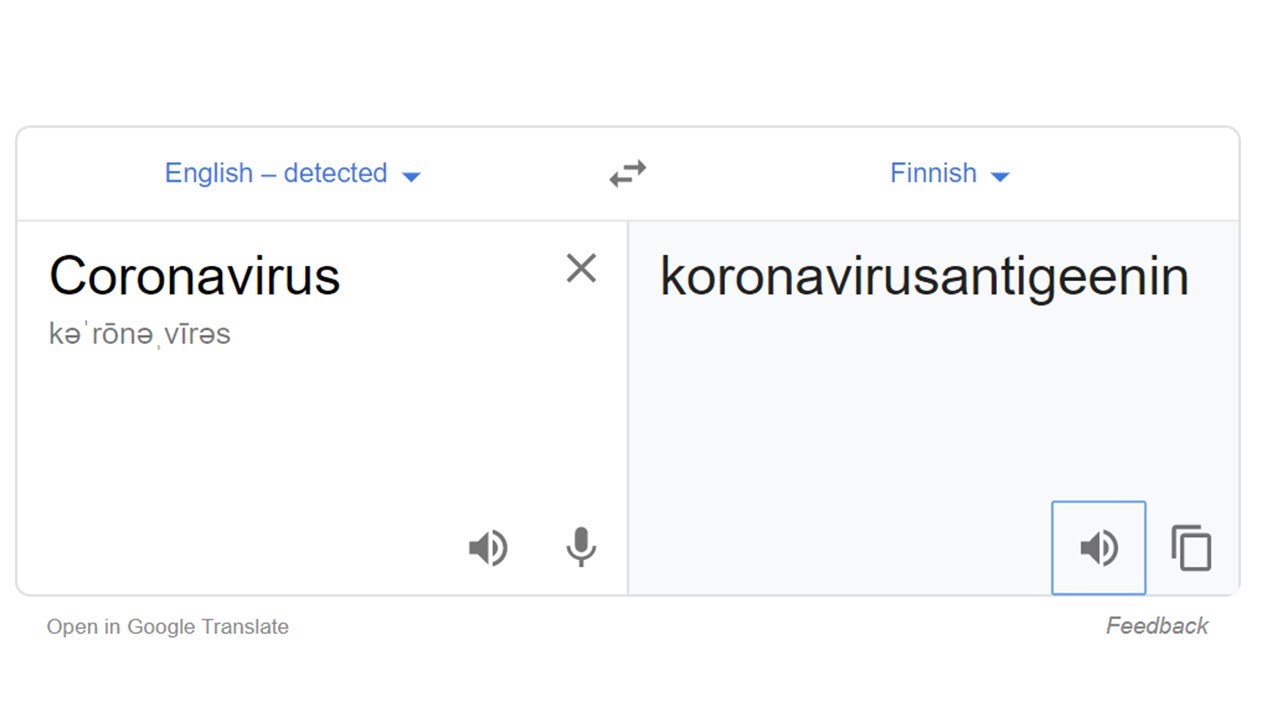 Google translate