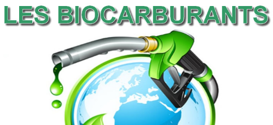 Que savoir sur les biocarburants ? – pourmaplanete