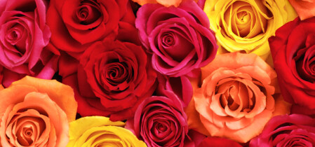 Afscheid lid vaststellingscommissie