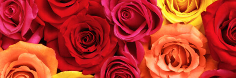 Afscheid lid vaststellingscommissie