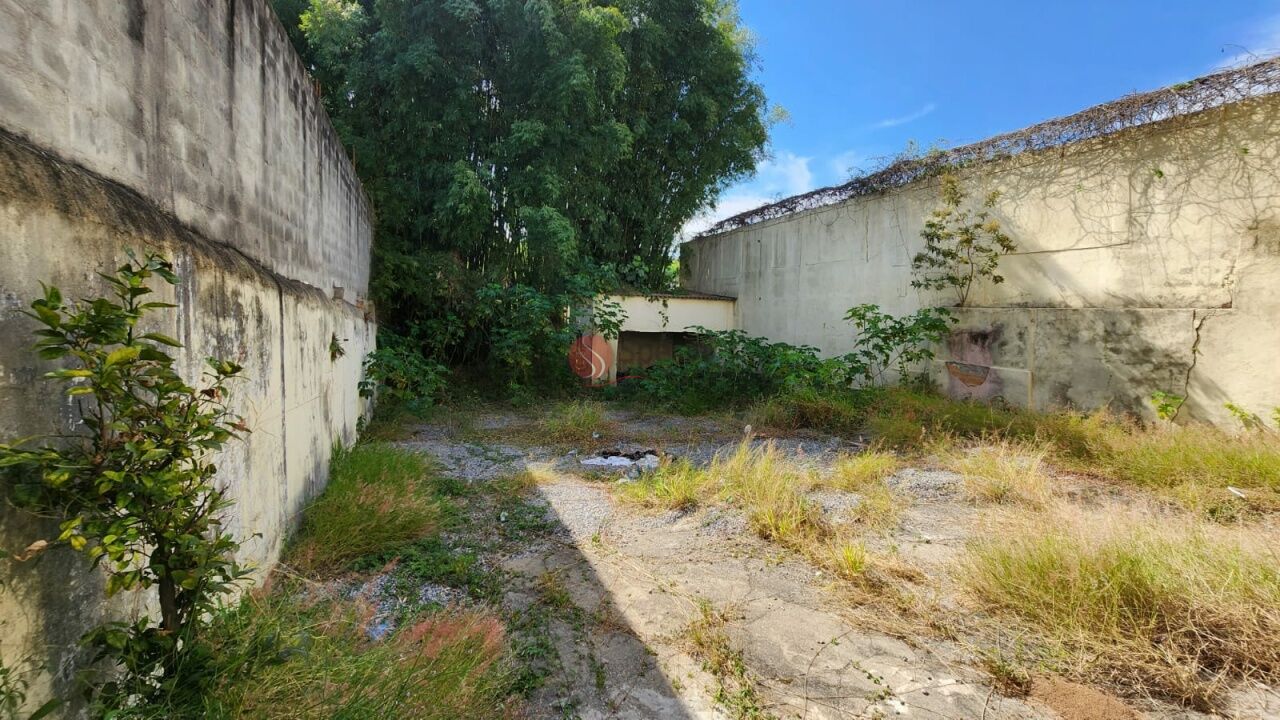 Foto 3 :: AF2498