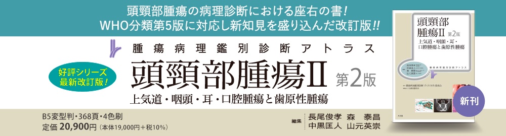 バナー画像