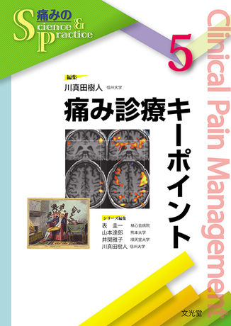 痛み診療キーポイント | 株式会社文光堂