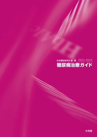 糖尿病治療ガイド2022-2023 | 株式会社文光堂