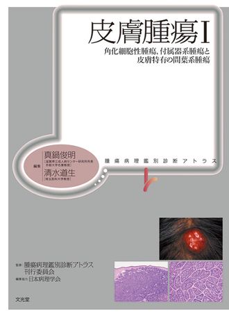 皮膚腫瘍Ⅰ | 株式会社文光堂