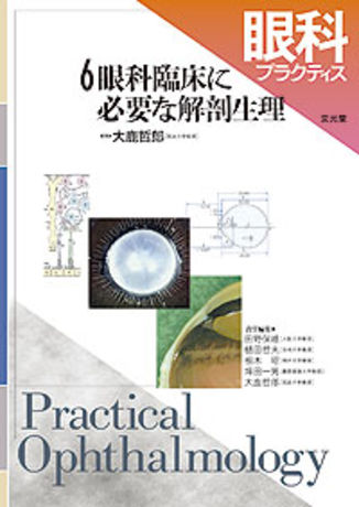 眼科臨床に必要な解剖生理 | 株式会社文光堂